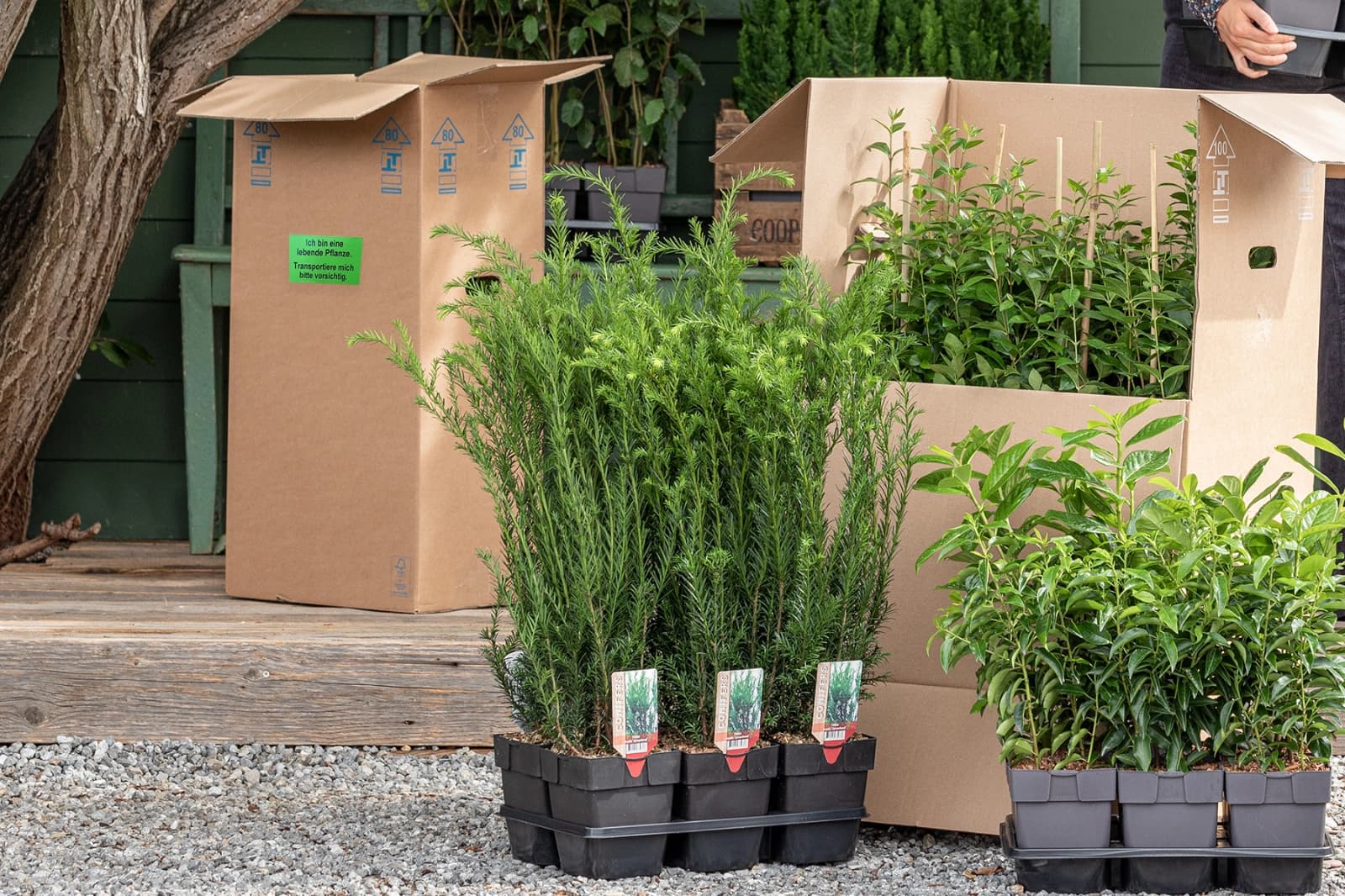 Behutsamer Transport