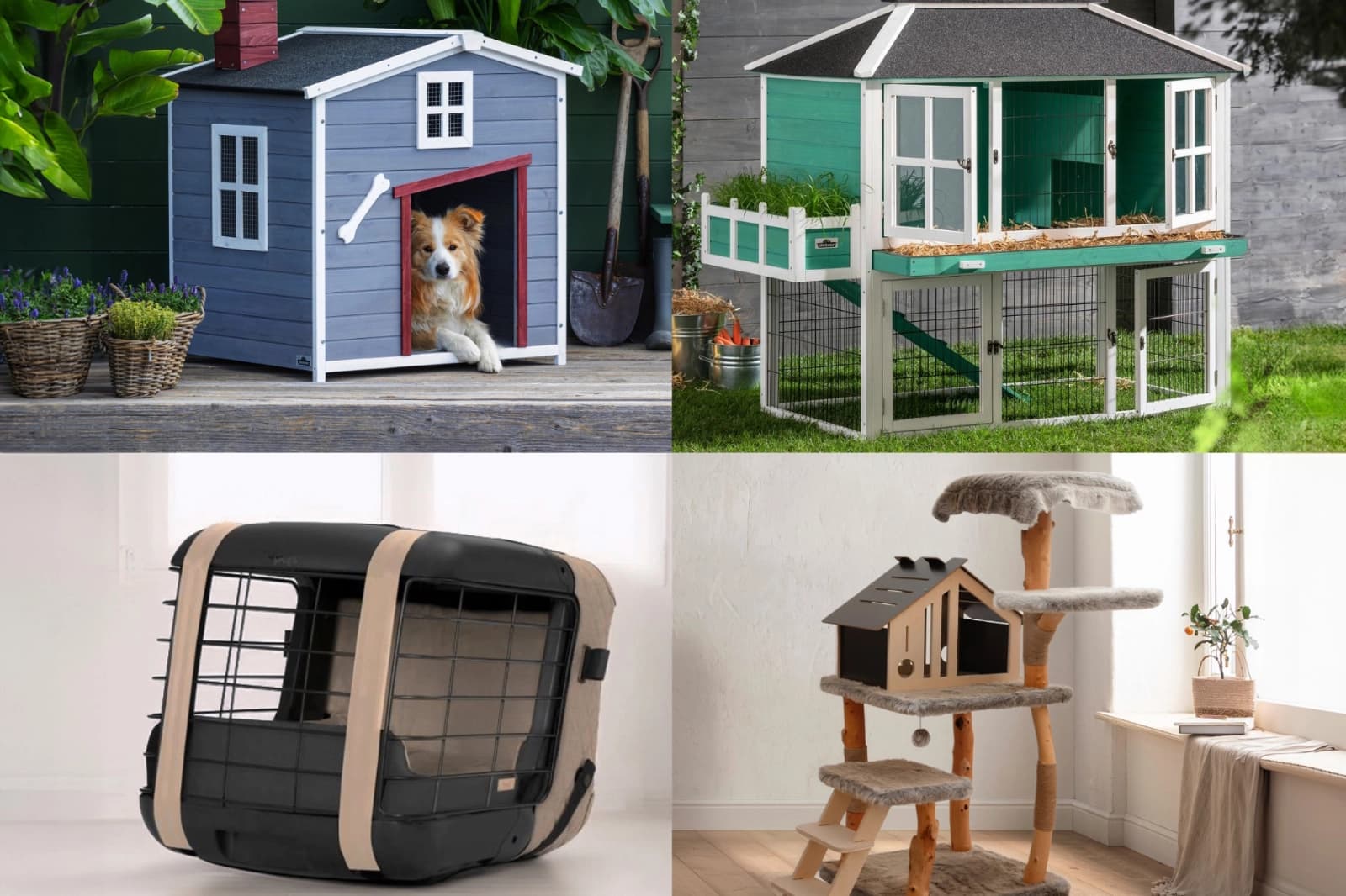 ZOO SALE