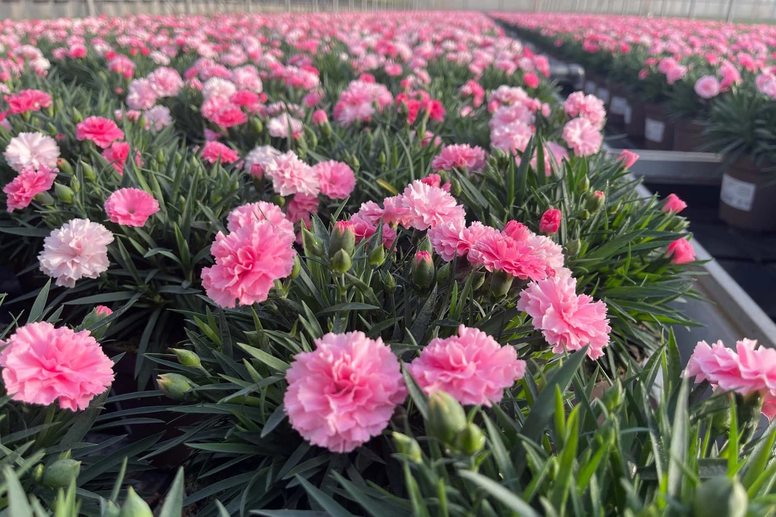 Energie & Ressourcen