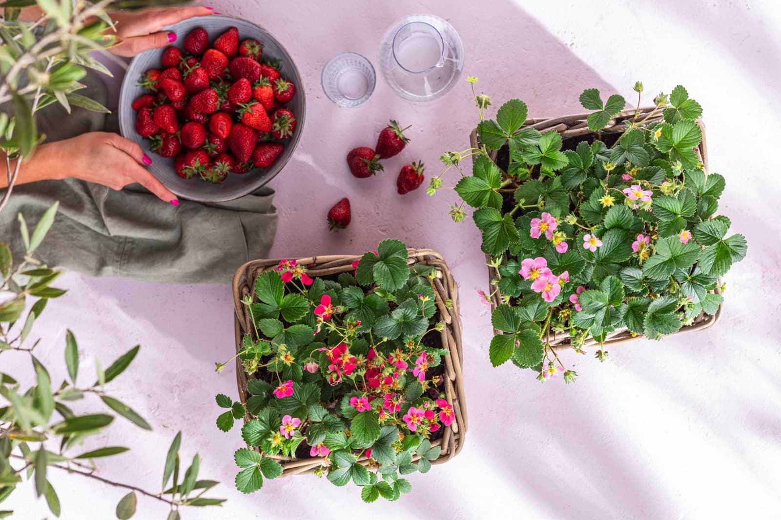 Gartenarbeiten im Juni