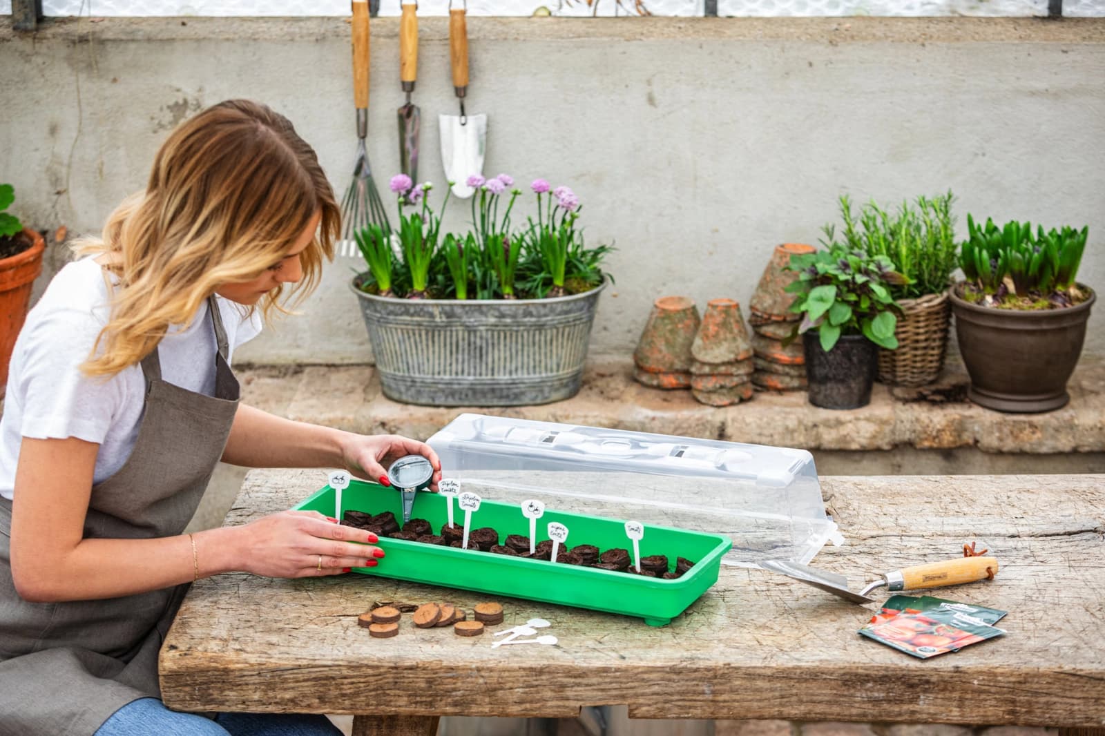 Gewächshaus bepflanzen