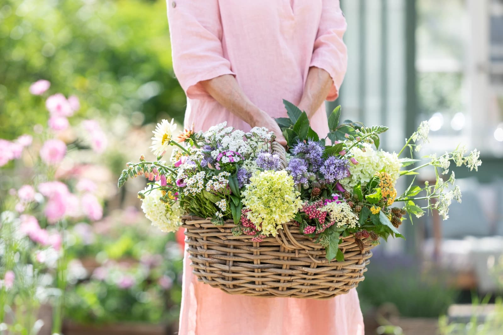 Gartenarbeiten im August