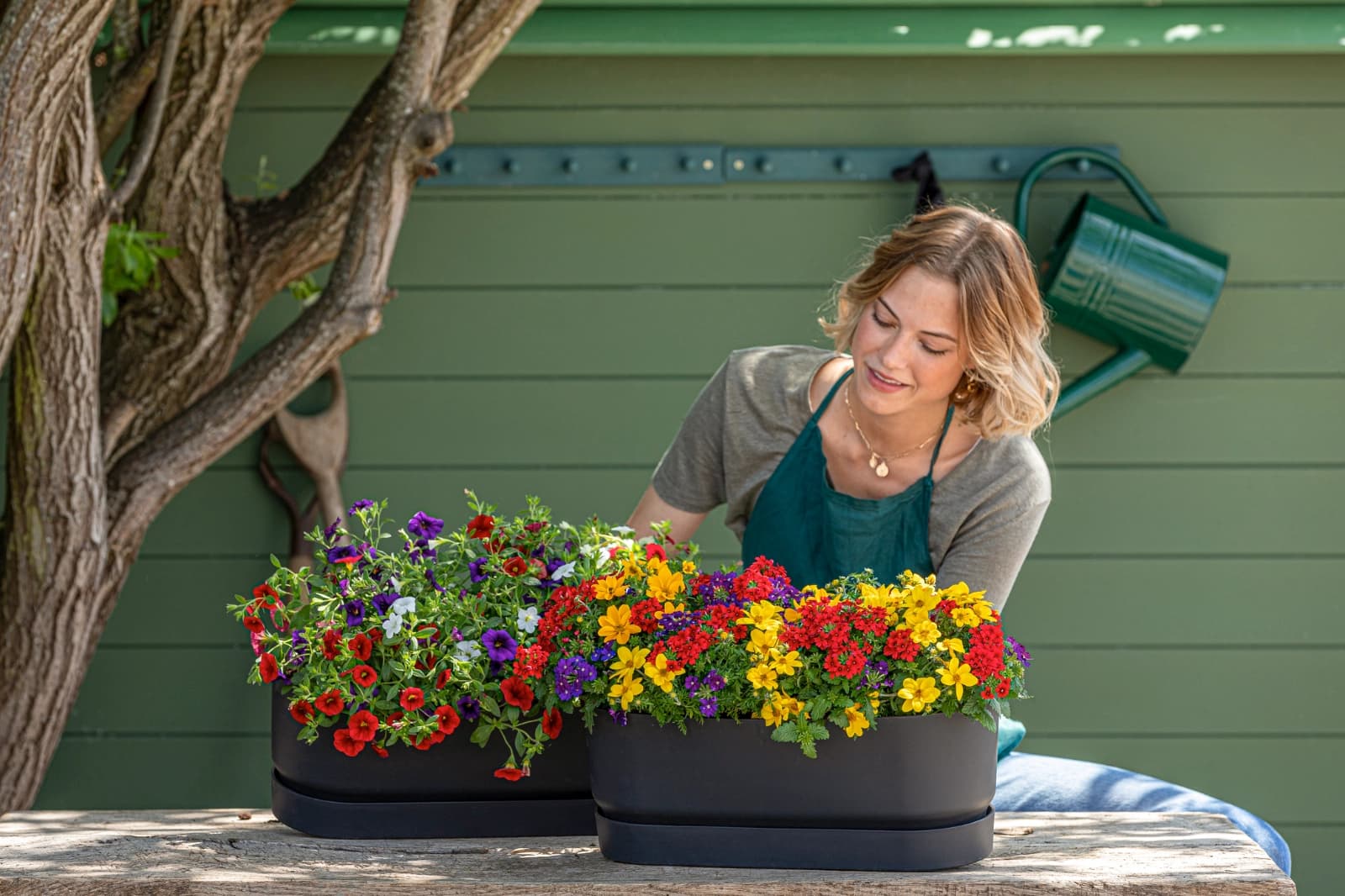 Balkonkastenbepflanzung