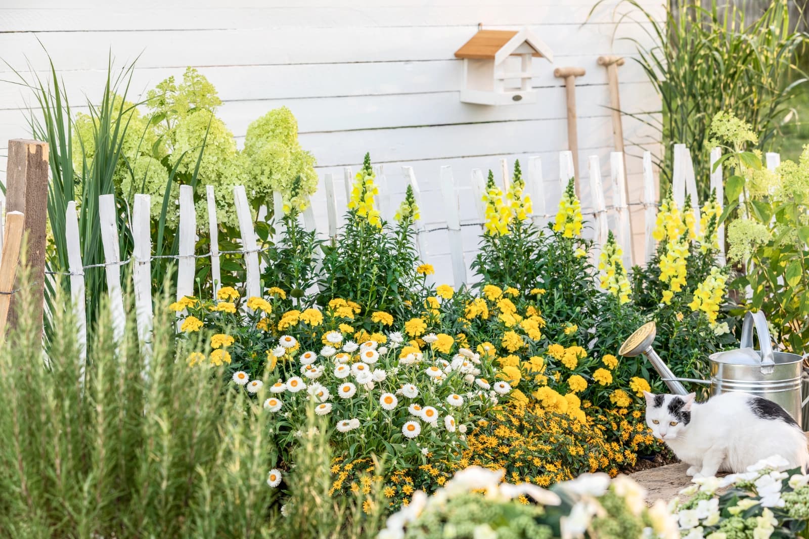 Naturgarten / Landhausgarten