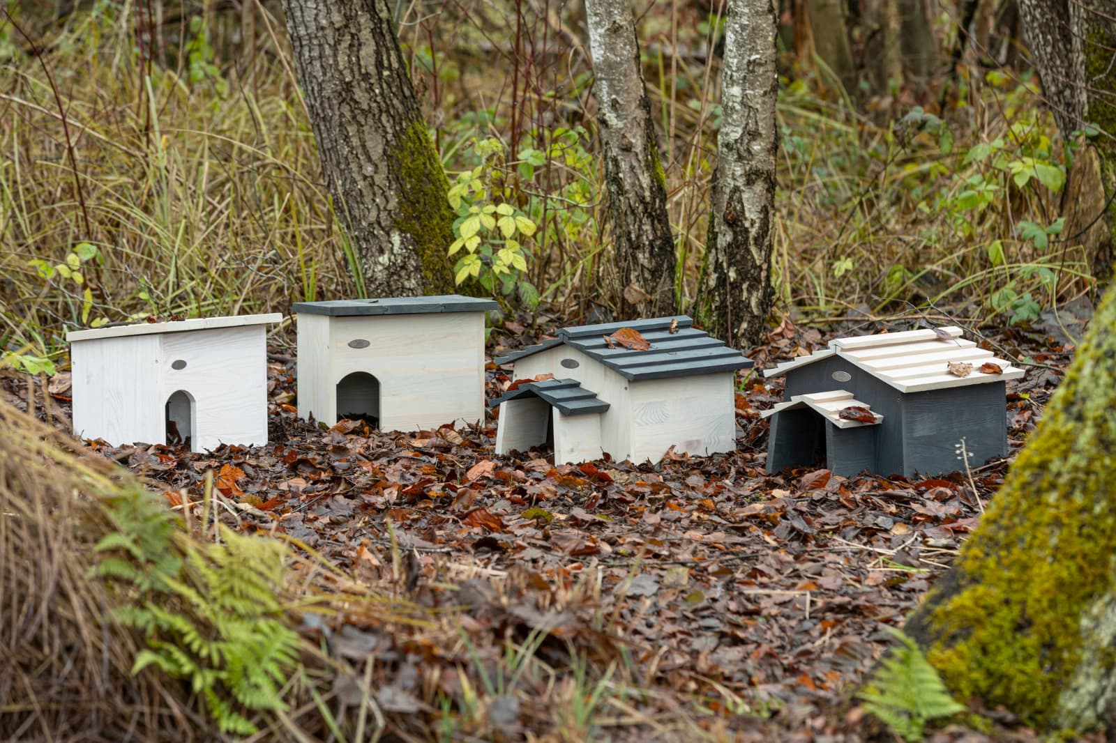 Tierfreundlicher Garten