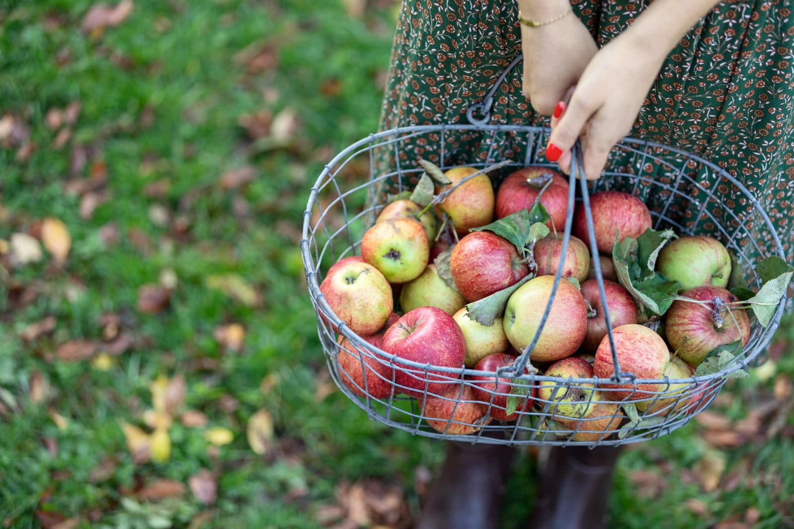 Obstlager kontrollieren