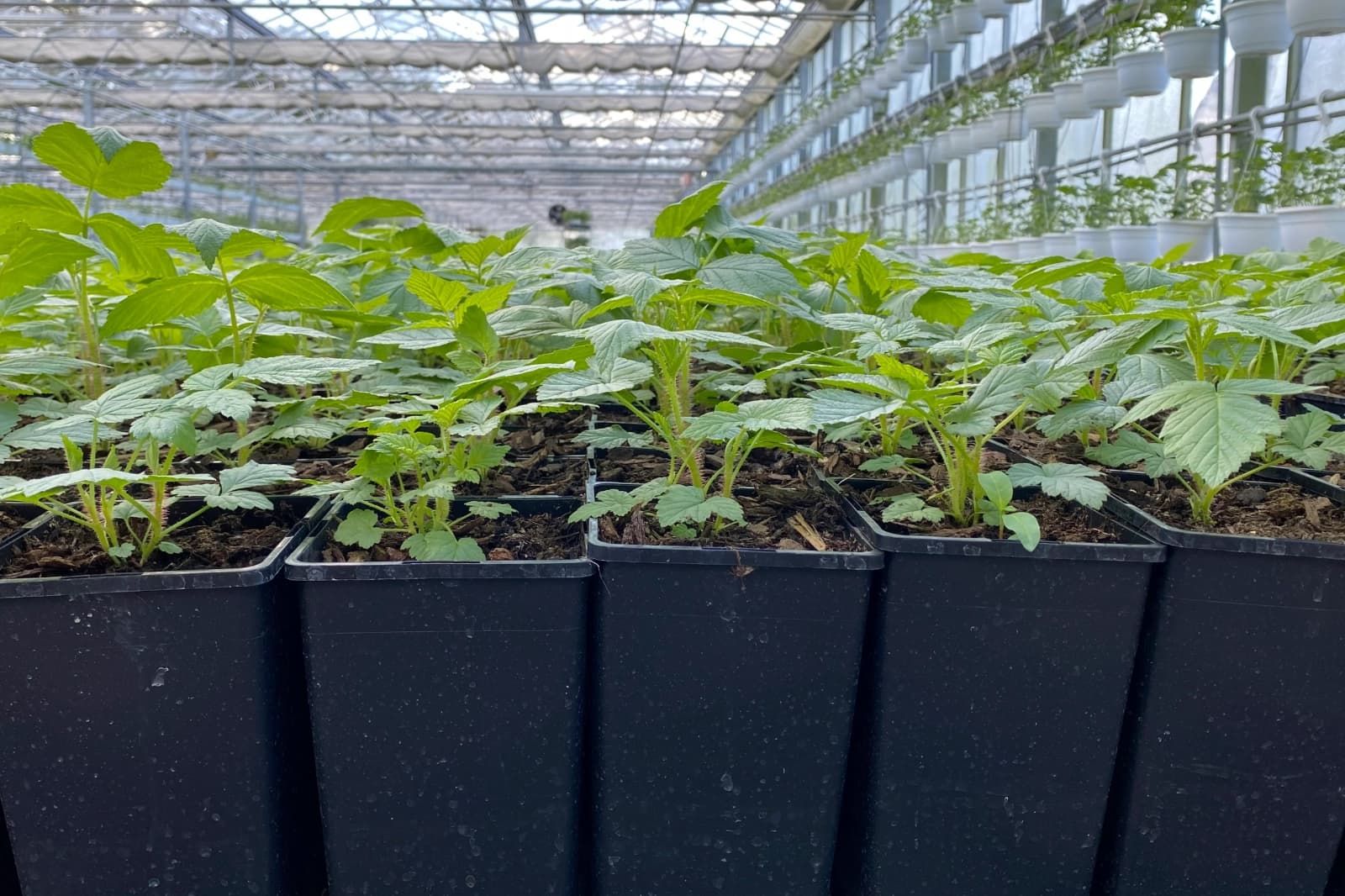 Verpackung & Transport