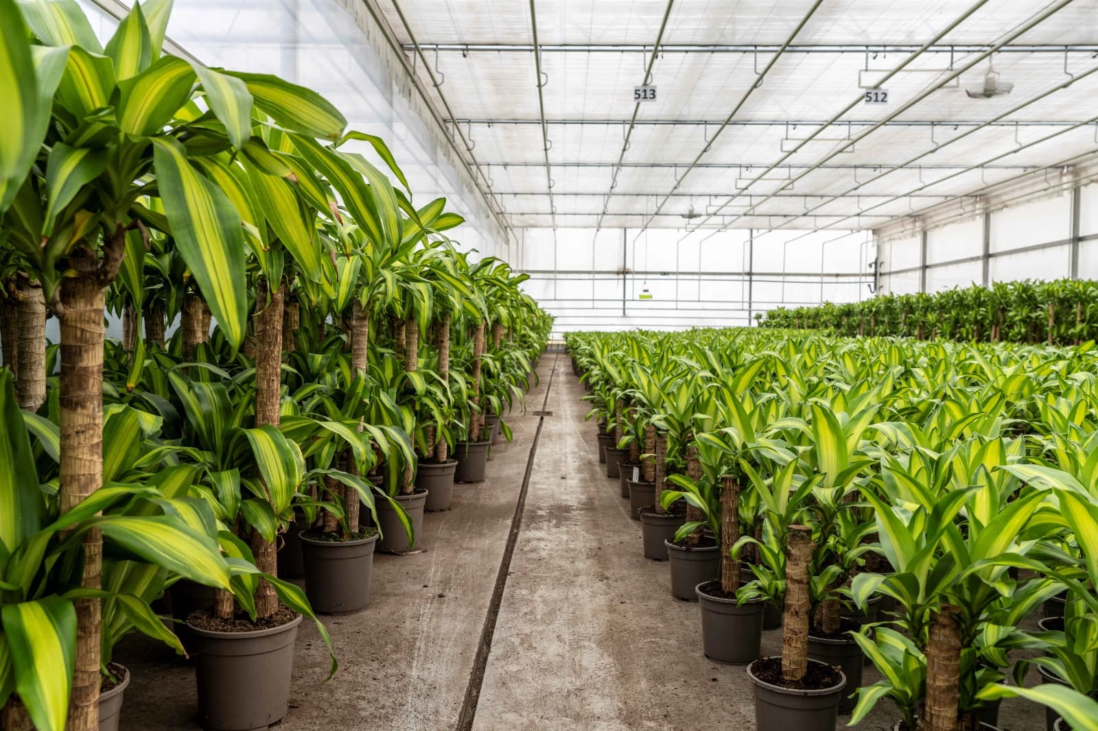 Energie & Ressourcen