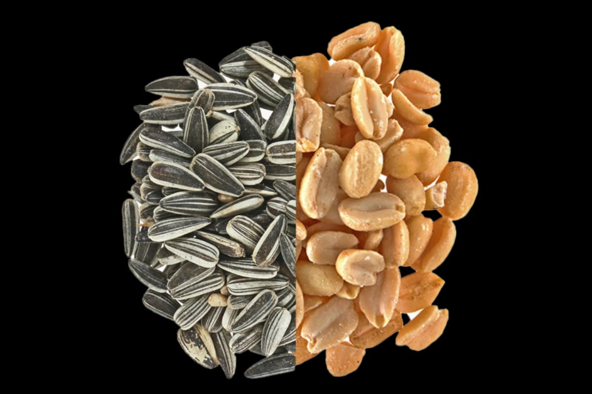 Kerne & Spezialitäten