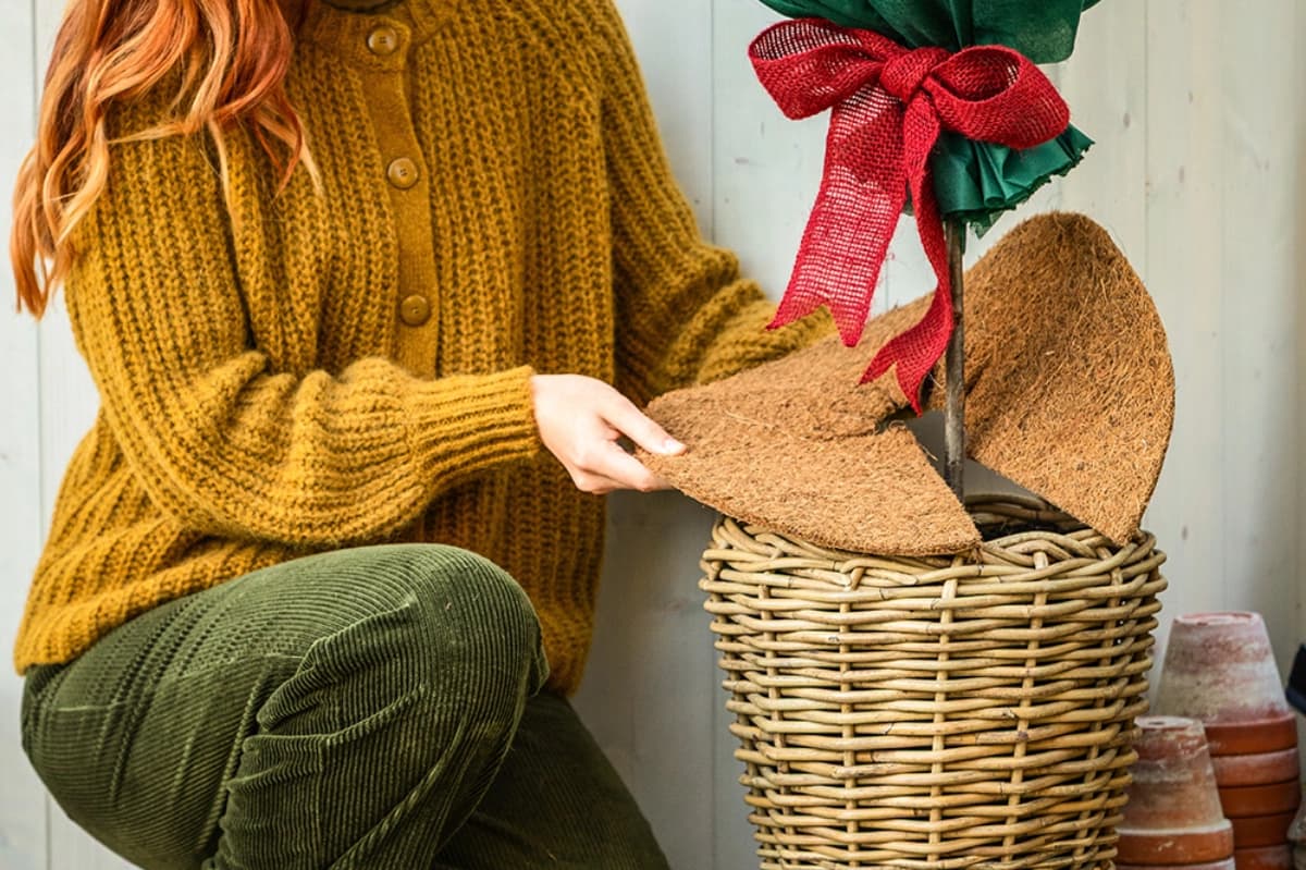 Winterschutz für Pflanzen