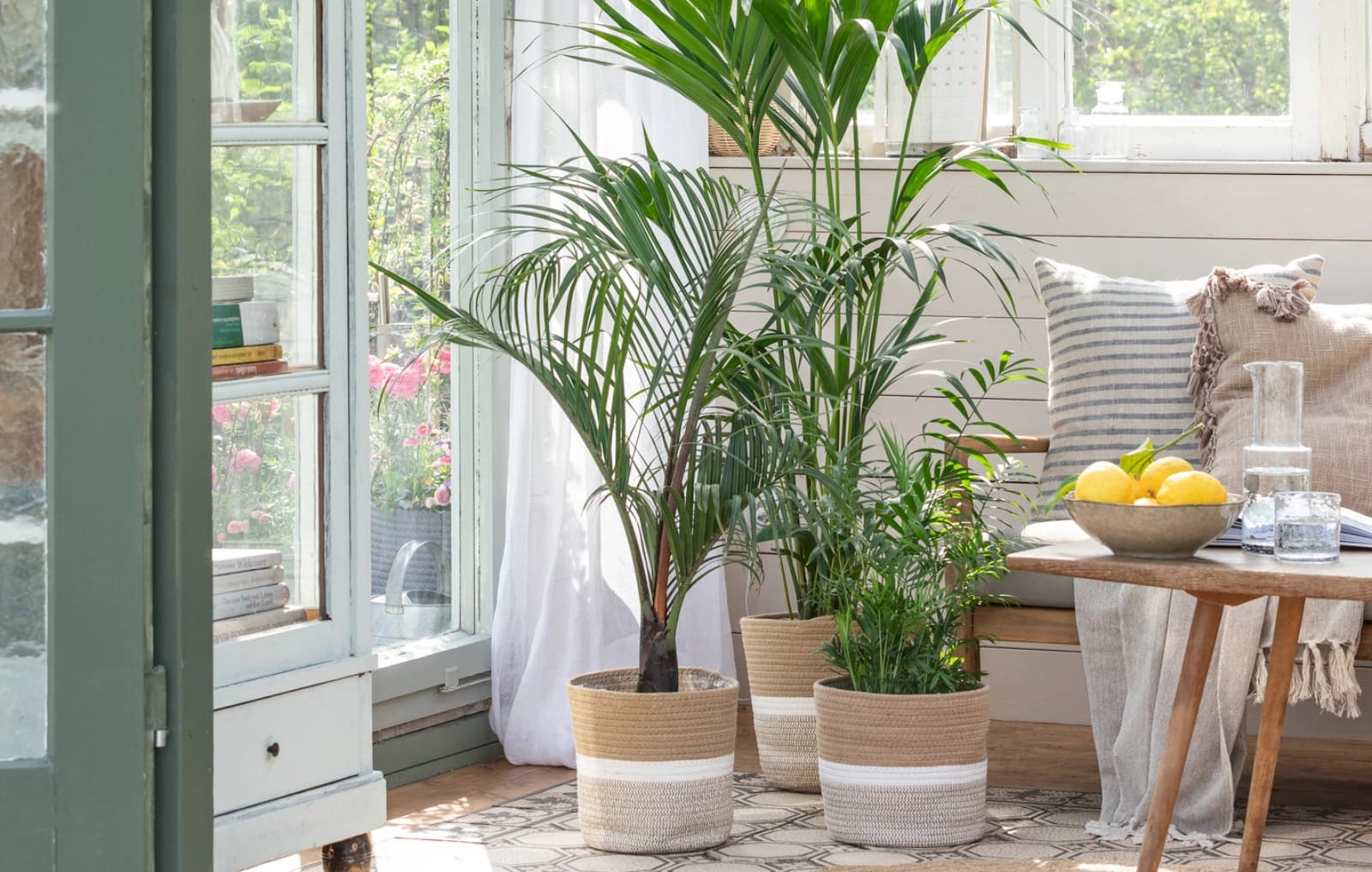 Der richtige Übertopf