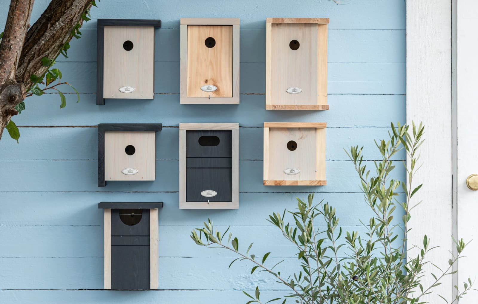 Höhlenbrüter-Kasten