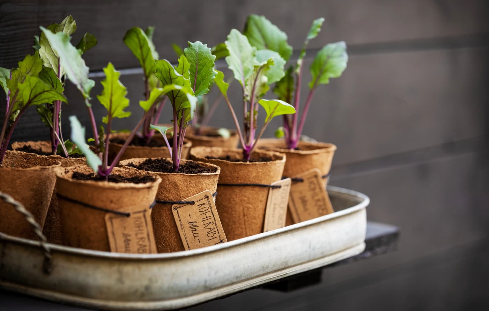 Weniger Aufwand, mehr Gelassenheit