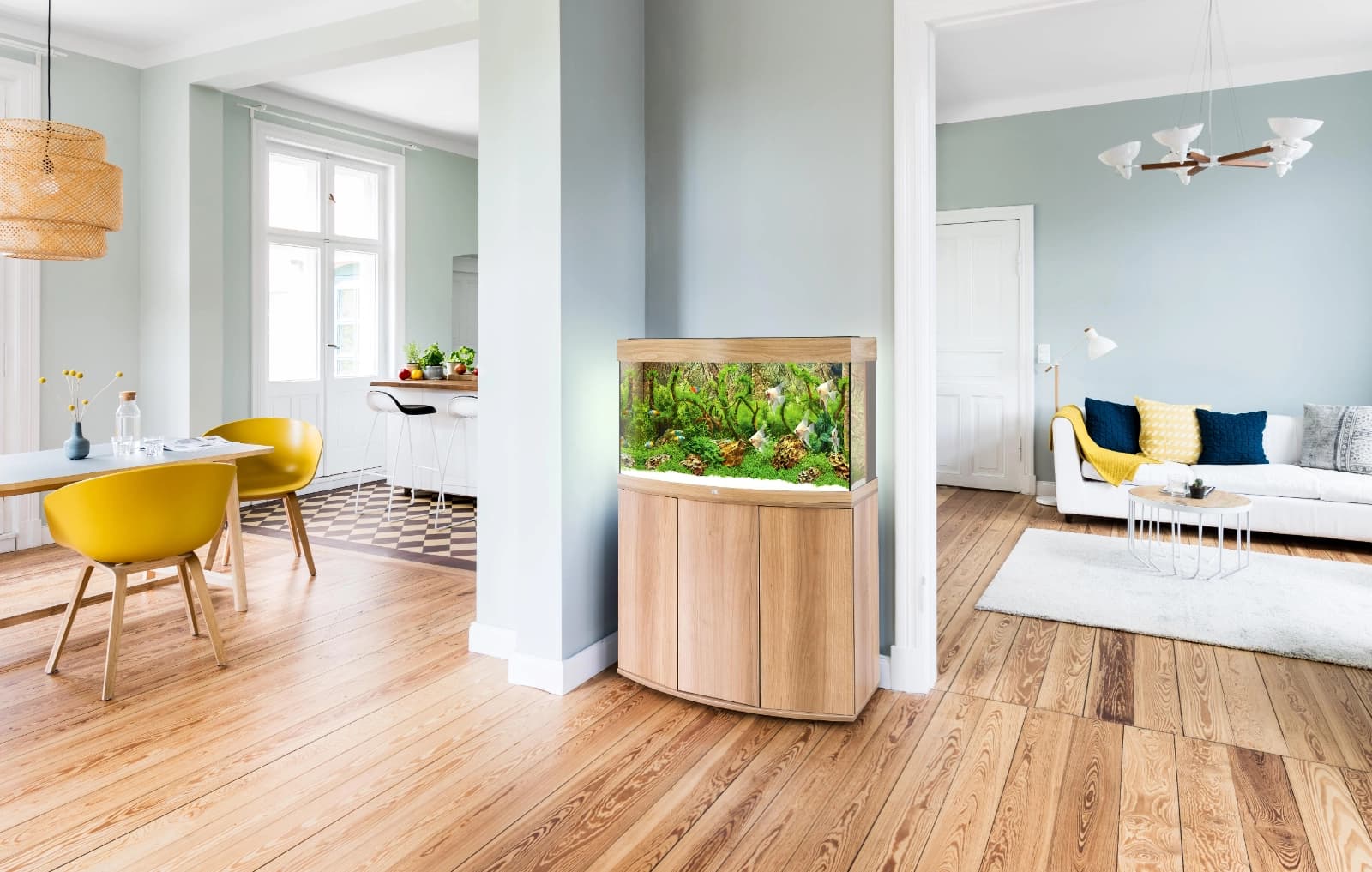 Goldfische im Aquarium