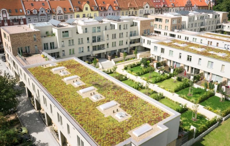 Extensive Dachbegrünung