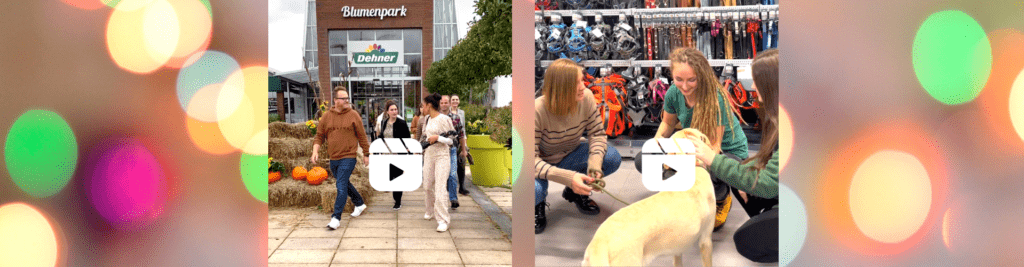 Social Media Workshop für die Dehner Personalbotschafter*innen