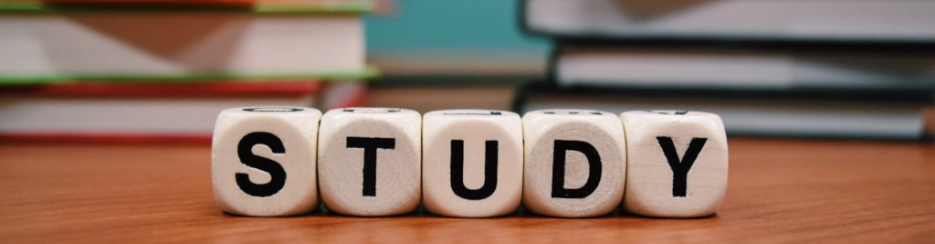 Würfel mit Schriftzug Study