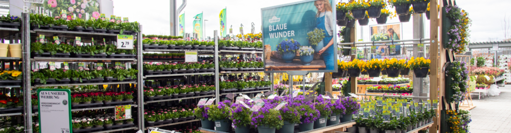 Ein großes, buntes Sortiment an Blumen in einem Garten-Center