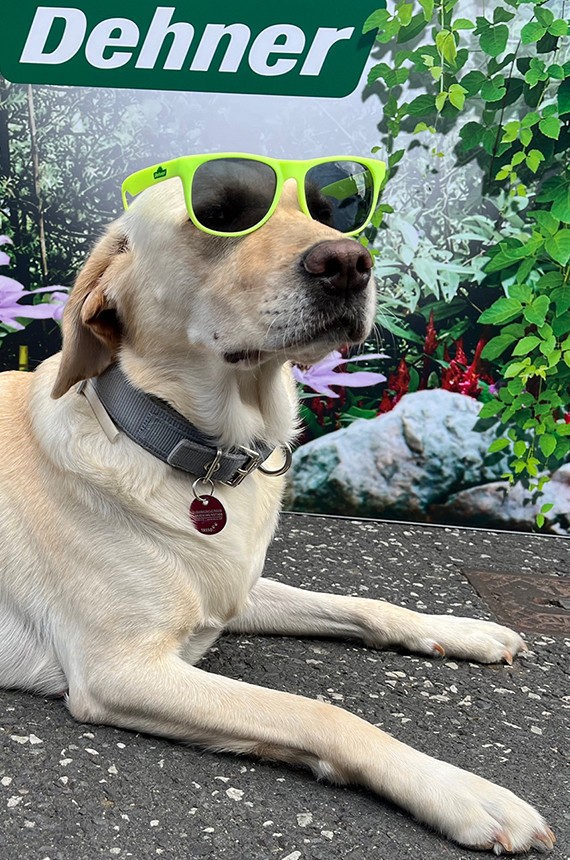 Tierischer Begleitung auf der Azubimesse in Bad Homburg