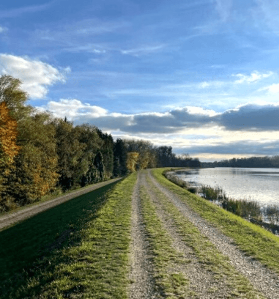 Dehner Firmenlauf