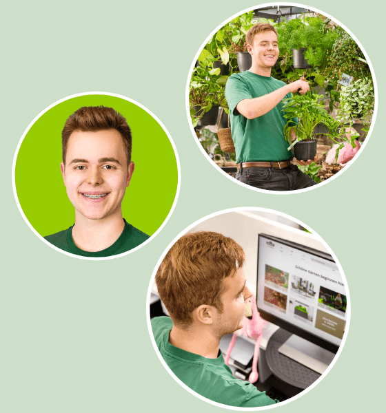 Louis befasst sich in seiner Ausbildung bei Dehner insbesondere mit Pflanzen