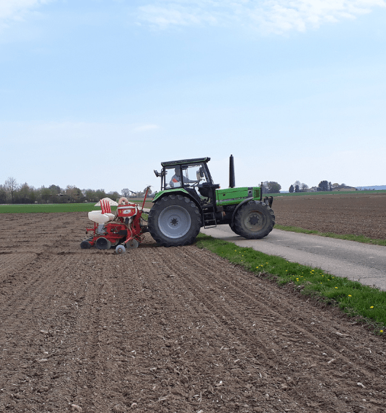 Dehner Agrar bereitet die Maisschautage 2023 vor