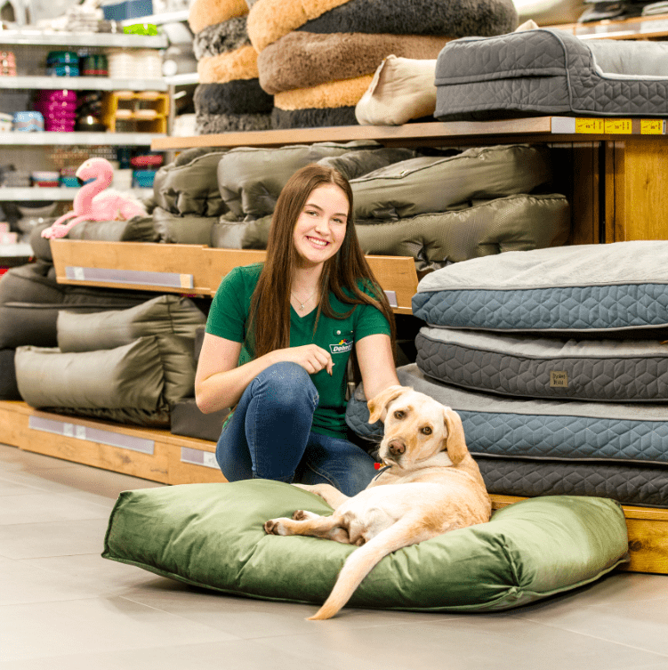 Lerntipps zur Lehrlingsprüfung