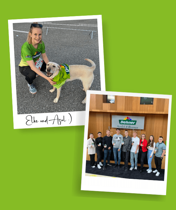 Dehner Abteilungsleitung Young Talents