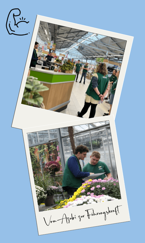 dehner-ausbildung-markt-projekt