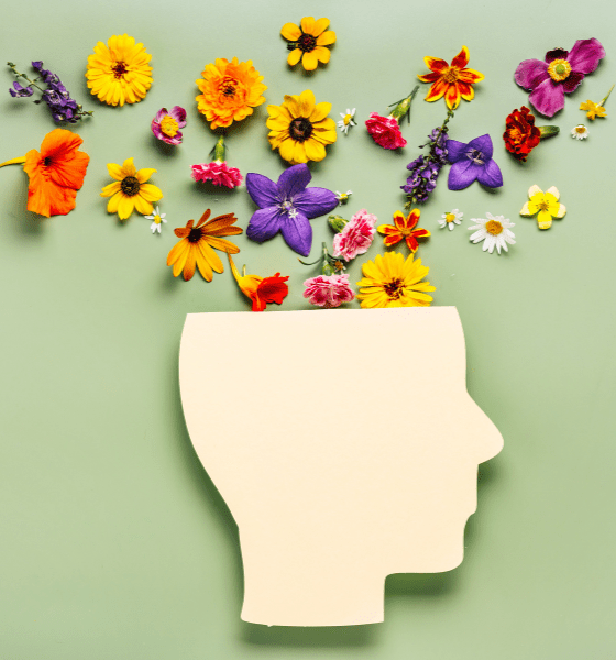 Mit neuer Energie in ein neues Dehner Jahr