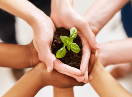 Starker Zusammenhalt bei Dehner