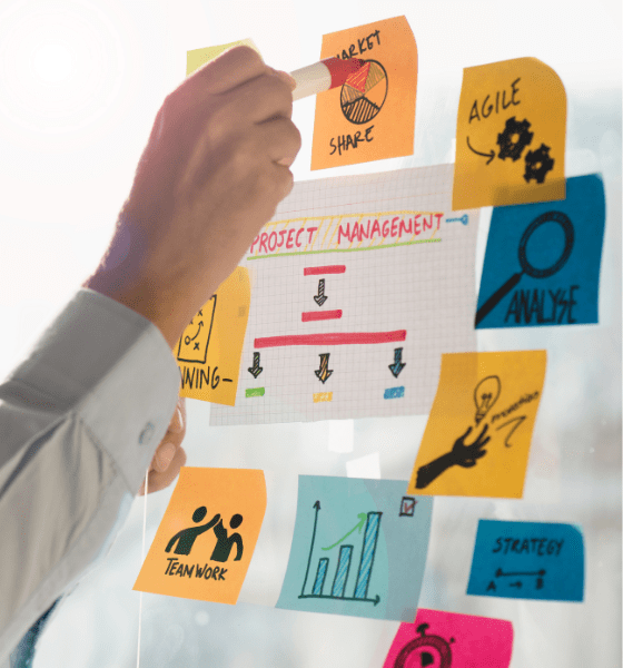 Projektmanagement bei Dehner