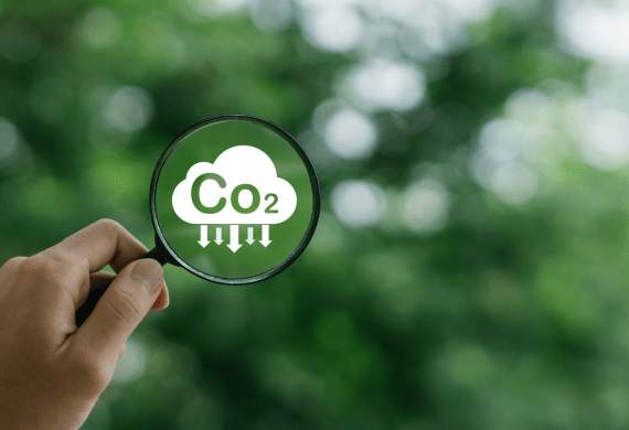 Umweltschutz bei Dehner