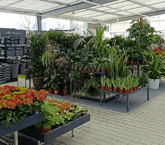 Dehner Markt in Dessau-Roßlau