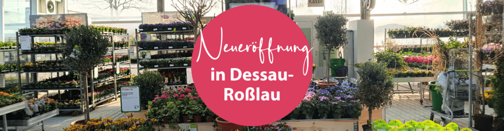 Dehner eröffnet in Dessau-Roßlau