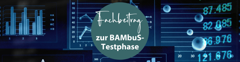 Das SAP Projekt kurz vor dem Go-Live