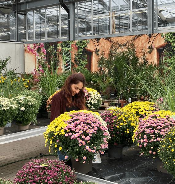 Einblick in das Dehner Garten-Center