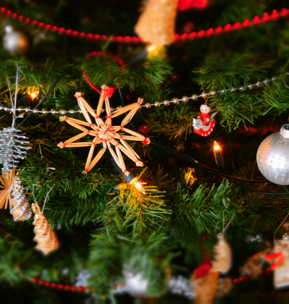 Der Weihnachtsbaum bei Dehner