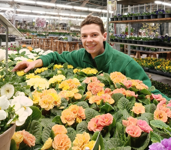 Blumen und Pflanzen bei Dehner