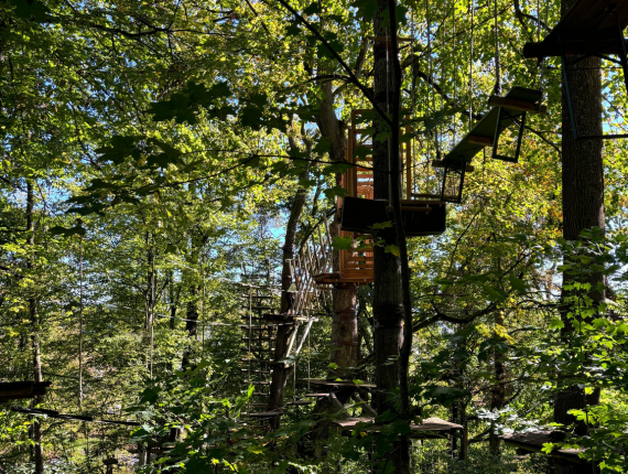 Teambuilding bei Dehner im Hochseilgarten