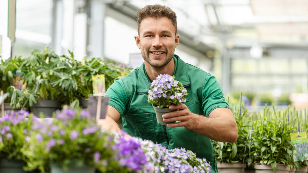 Mitarbeiter im Garten-Center präsentiert eine lilafarbene Blume
