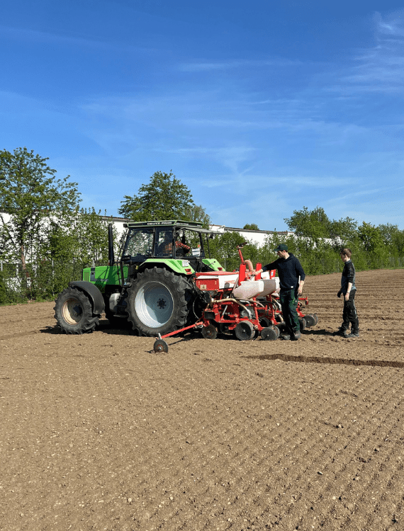 100 Maissorten für Dehner Agrar