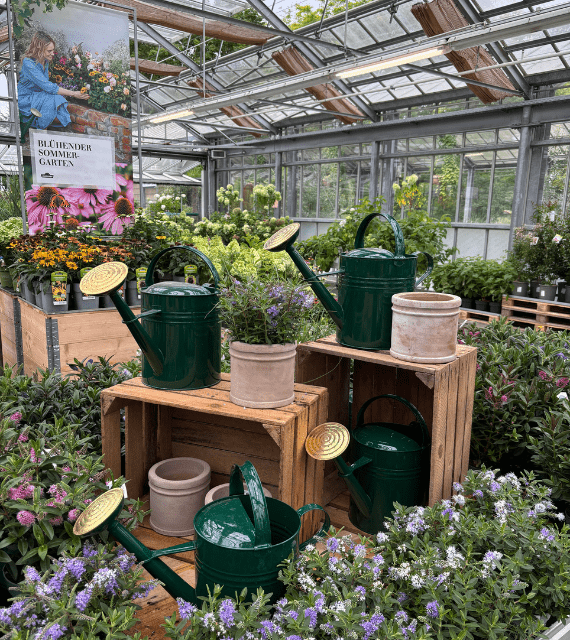 Erfahrungen im Markt sammeln im dualen Studium bei Dehner