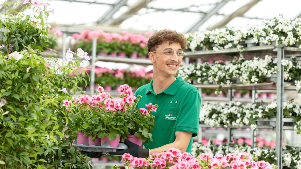 Luca arbeitet als Aushilfskraft im Dehner Garten-Center und bestückt die Verkaufsfläche mit frischen Blumen