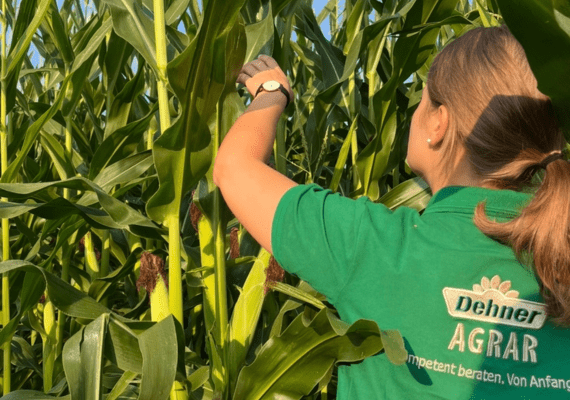 Arbeiten bei Dehner Agrar