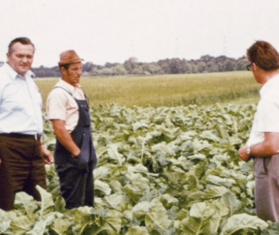 Damals wie heute: Die Maisschau von Dehner Agrar