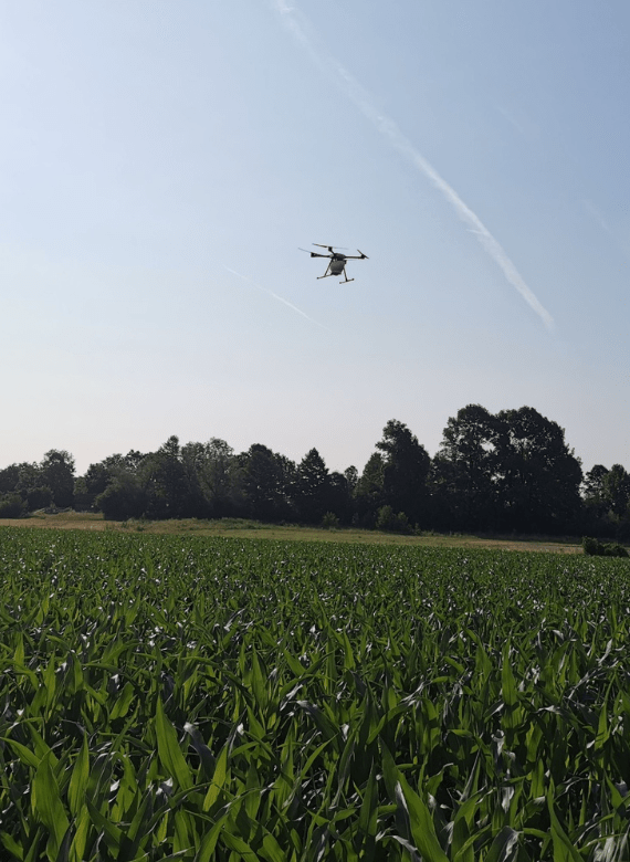 Trichogramma-Ausbringung bei Dehner Agrar