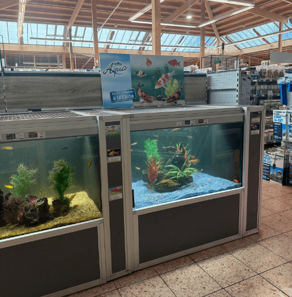 Aquaristik-Abteilung im Dehner Garten-Center