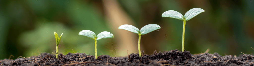 Schritt für Schritt Verantworung übernehmen in der Ausbildung bei Dehner
