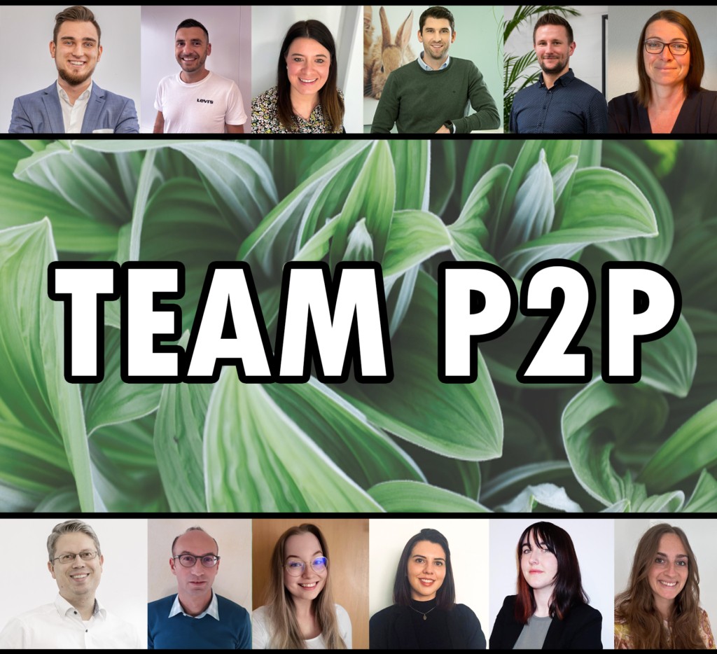 Business Process Management Team bei Dehner